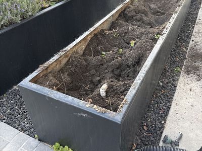 Free 2x12ft Black Planter Box - Metal Garden Raised Beds for Outdoor Landscaping (1 item)