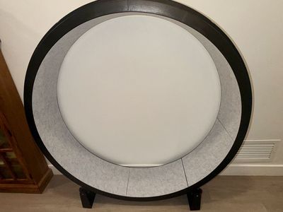 One Fast Cat Exercise Wheel