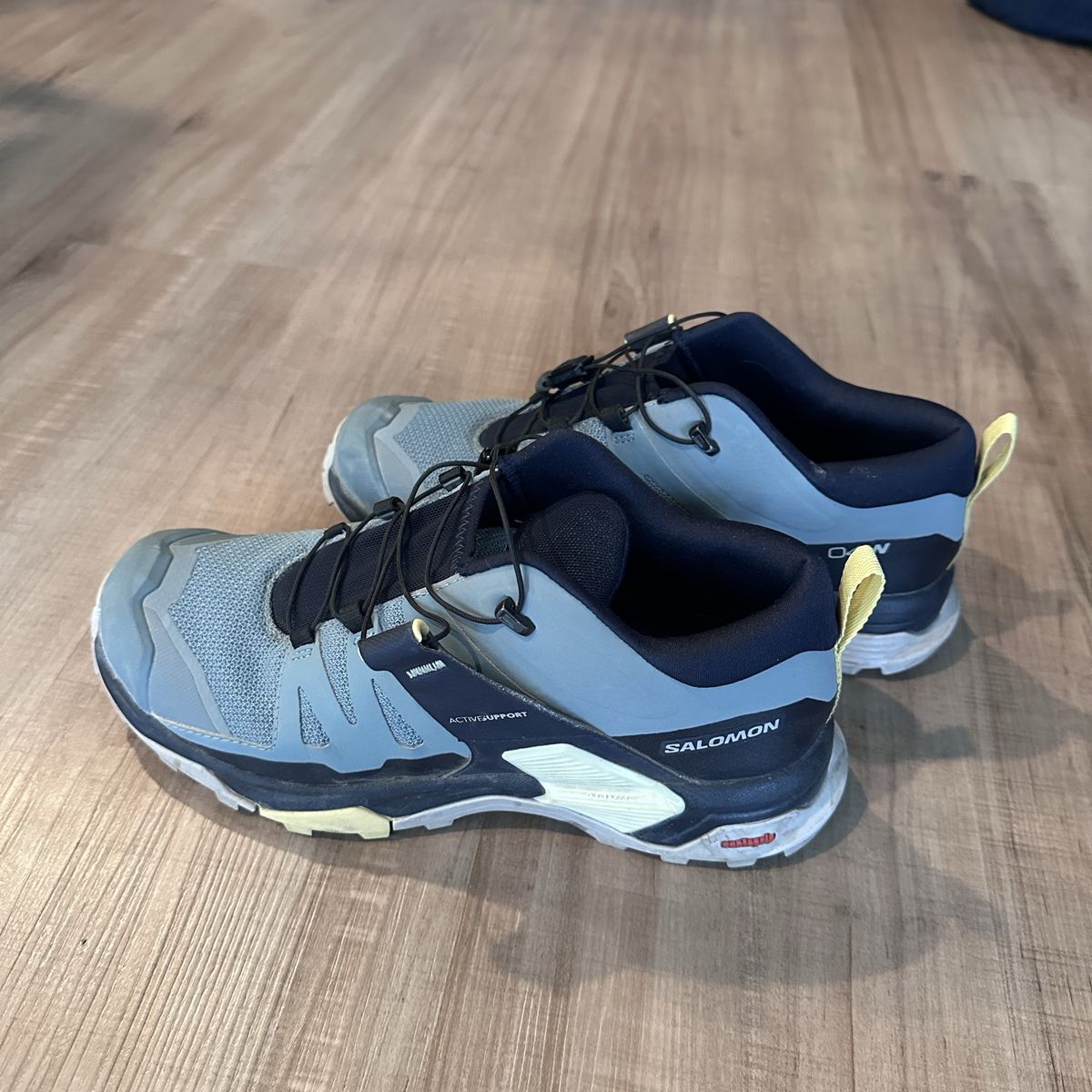 Salomon Hiking Shoes