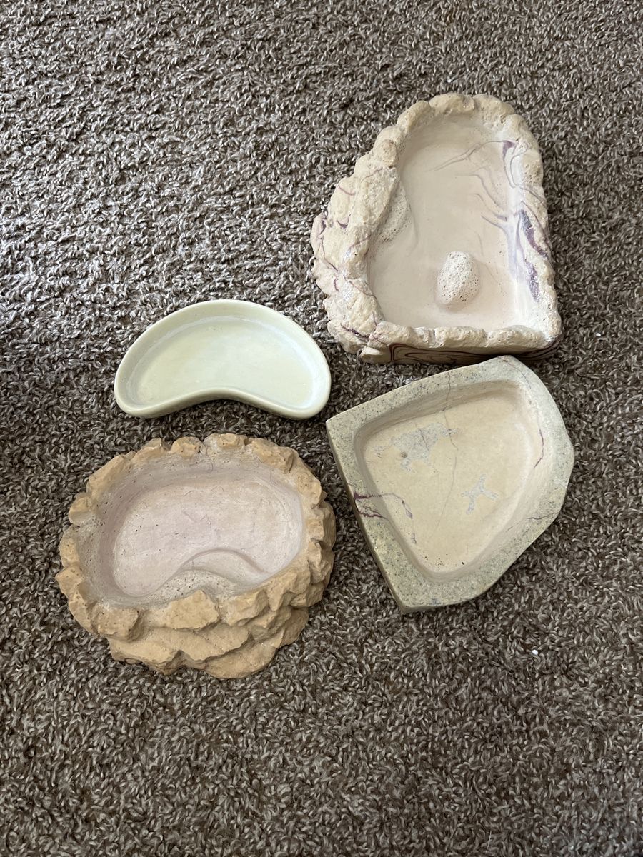 Reptile Food & Water Dishes Bundle