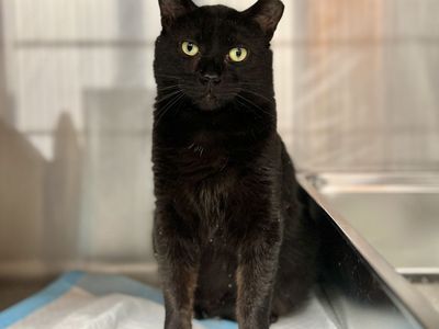 Hello my name is Reno