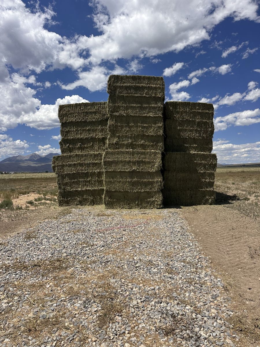3x4 bales of grass/alfalfa mix