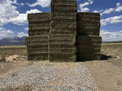 3x4 bales of grass/alfalfa mix