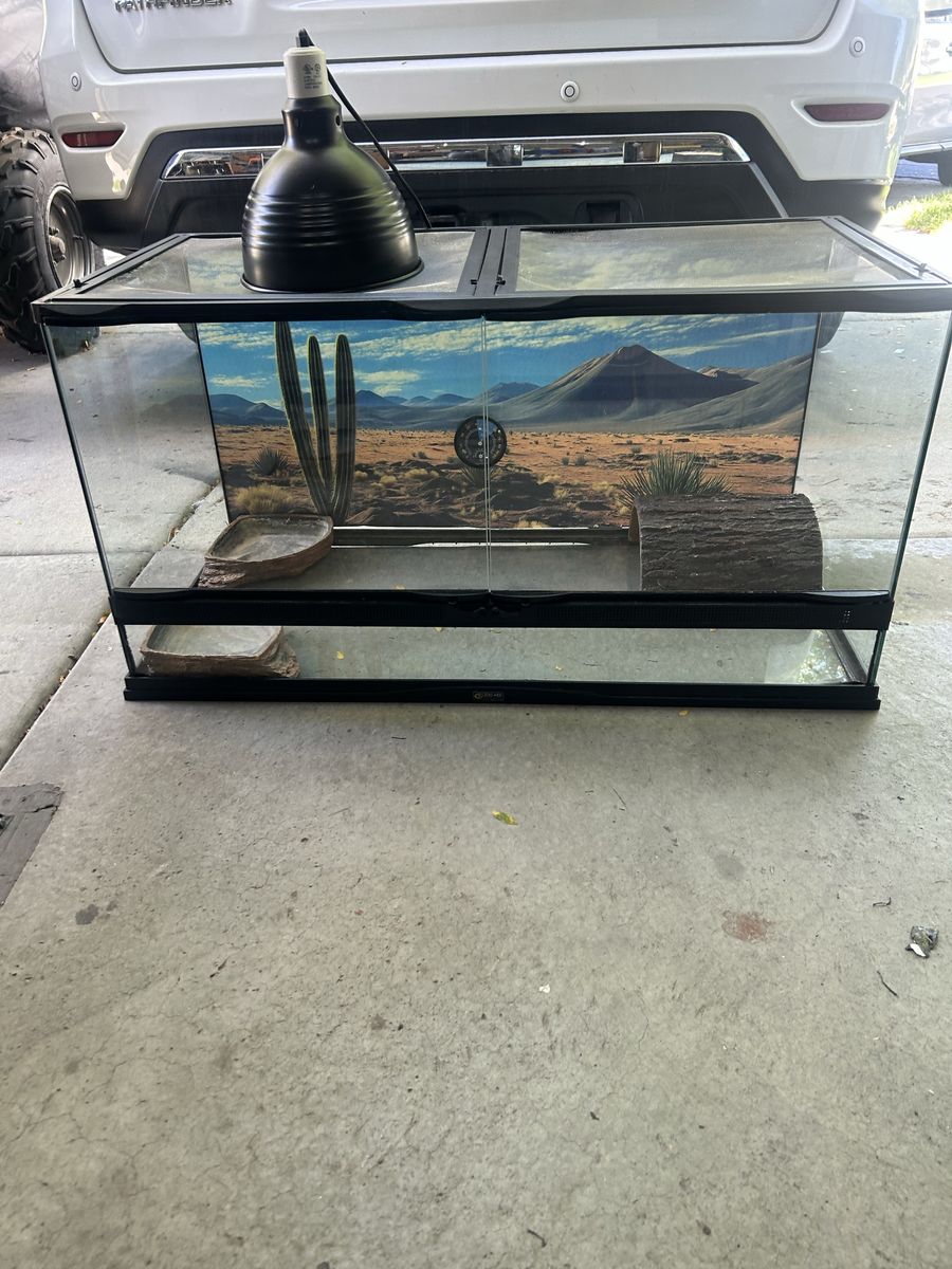 Zoomed tank 