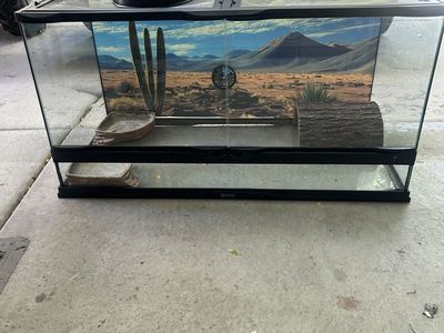 Zoomed tank