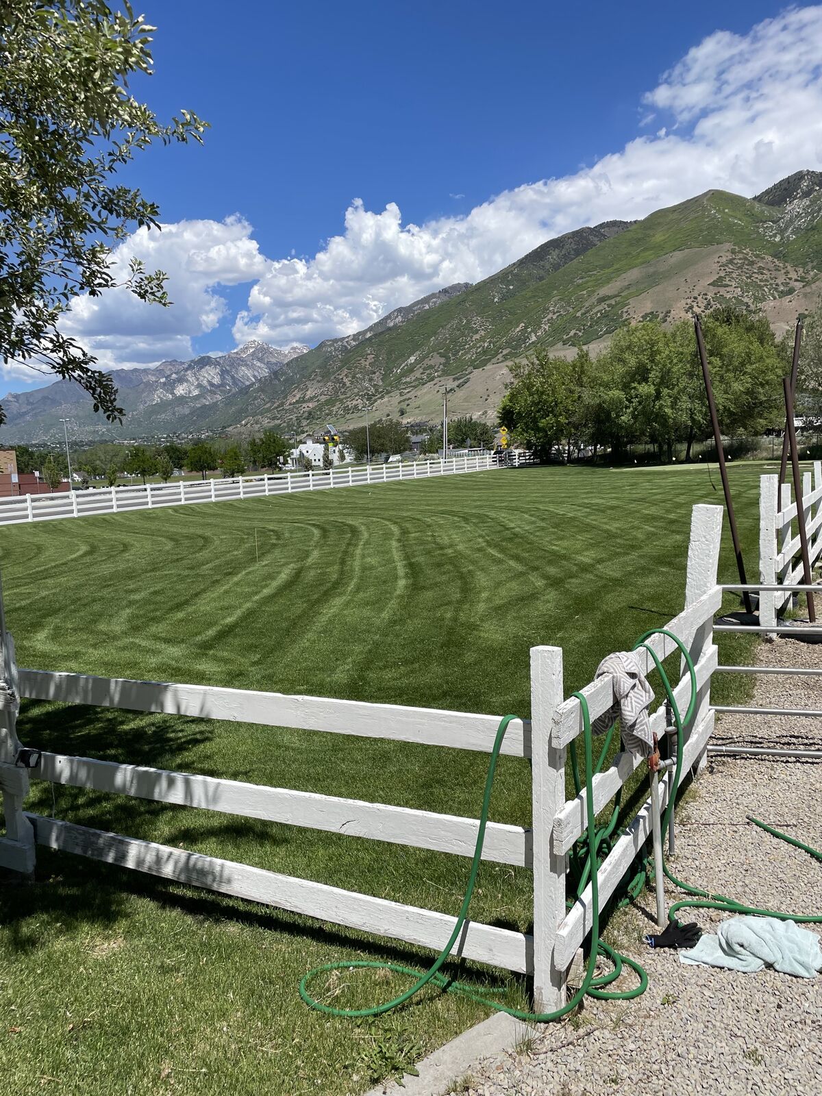 Professional Mowing | Lawn Care | Edging & Trimming | Grass Cutting | Property Maintenance