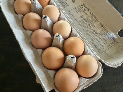 Fresh eggs
