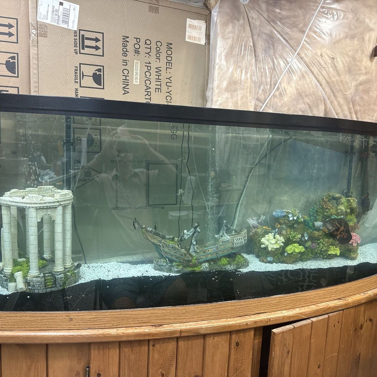 125 gallon Bowfront Glass Aquarium with matching Wooden Stand and All required Equipment. 