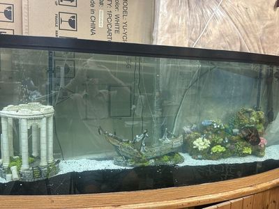 125 gallon Bowfront Glass Aquarium with matching Wooden Stand and All required Equipment.