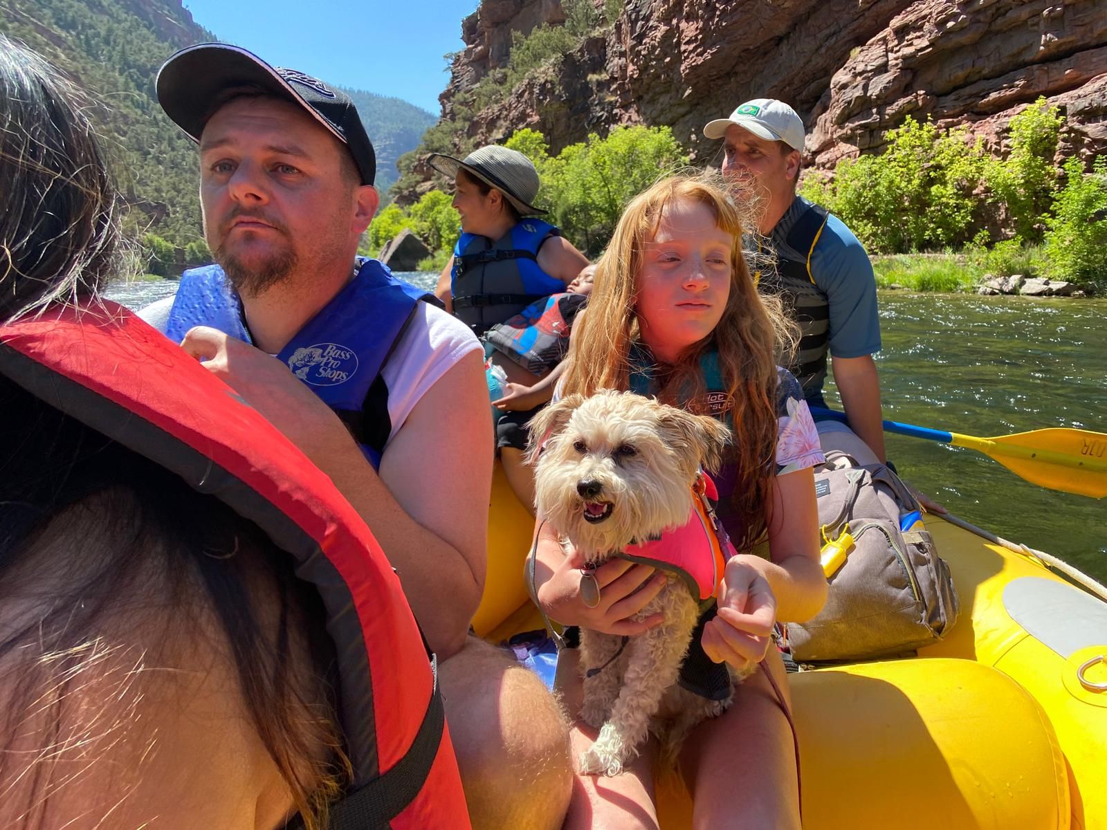 Dog Life Vest