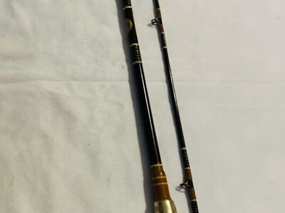 Browning Silaflex Casting Rod
