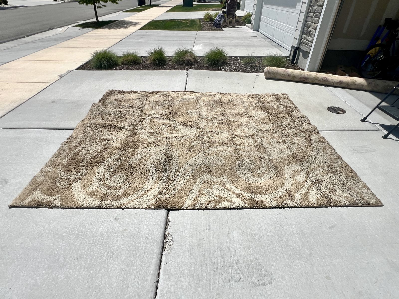 Tan/Beige Area Rug  8' X 10'