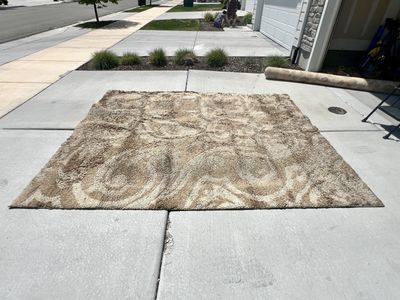 Tan/Beige Area Rug 8' X 10'