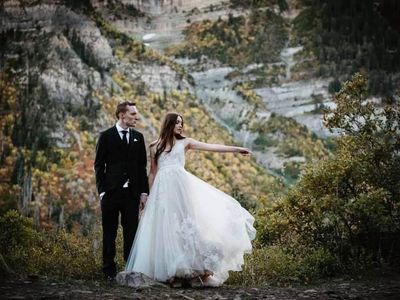 Wedding Dress and Veil