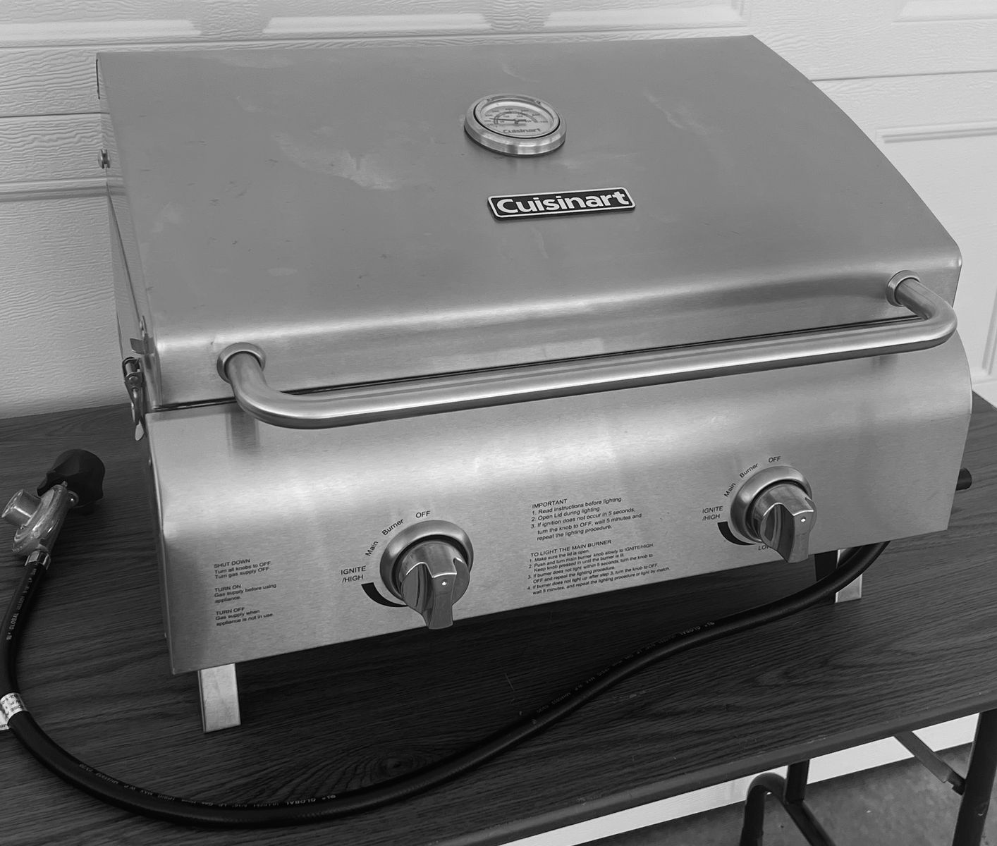 Cousinant Stainless Steel 20,00 BTU 2 Burner Portable Gas Grill