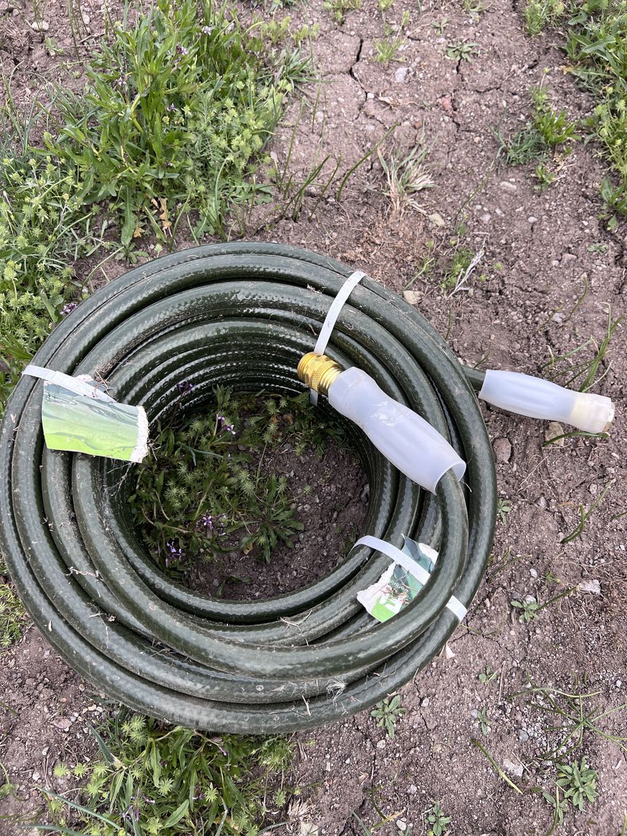 100 ft. lawn hose - new