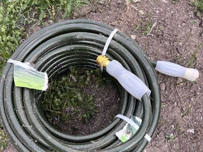 100 ft. lawn hose - new