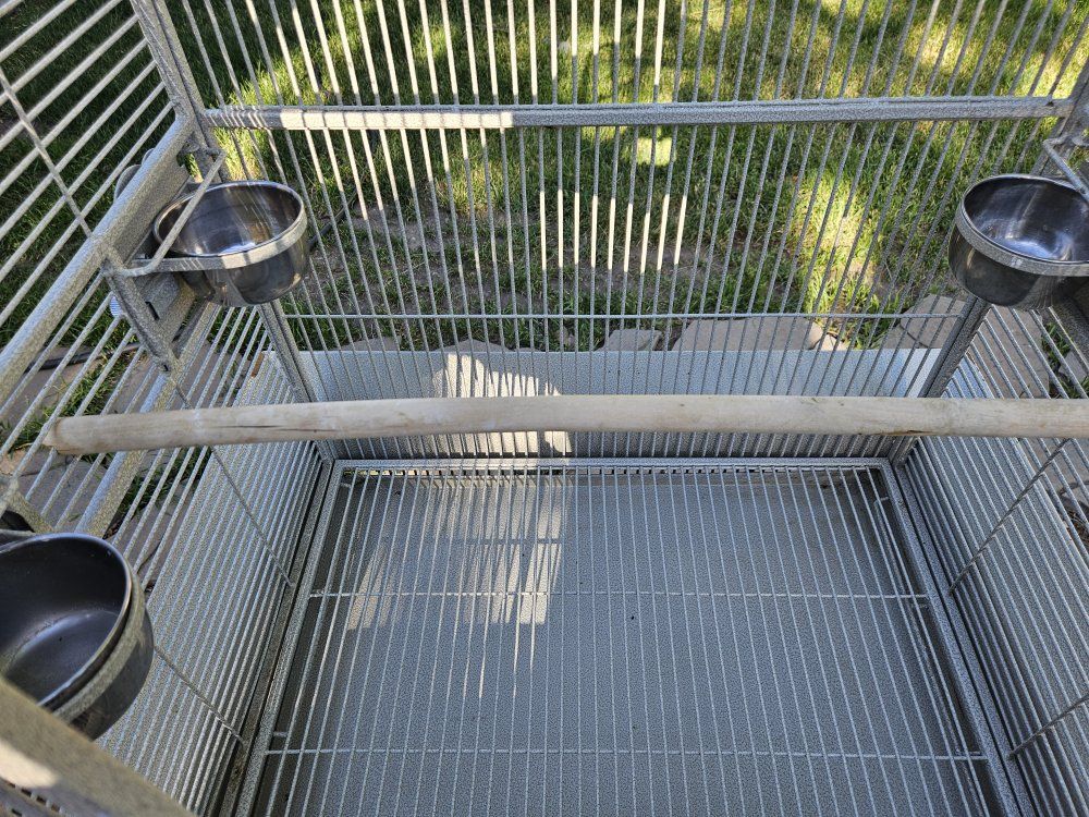 Main image 5