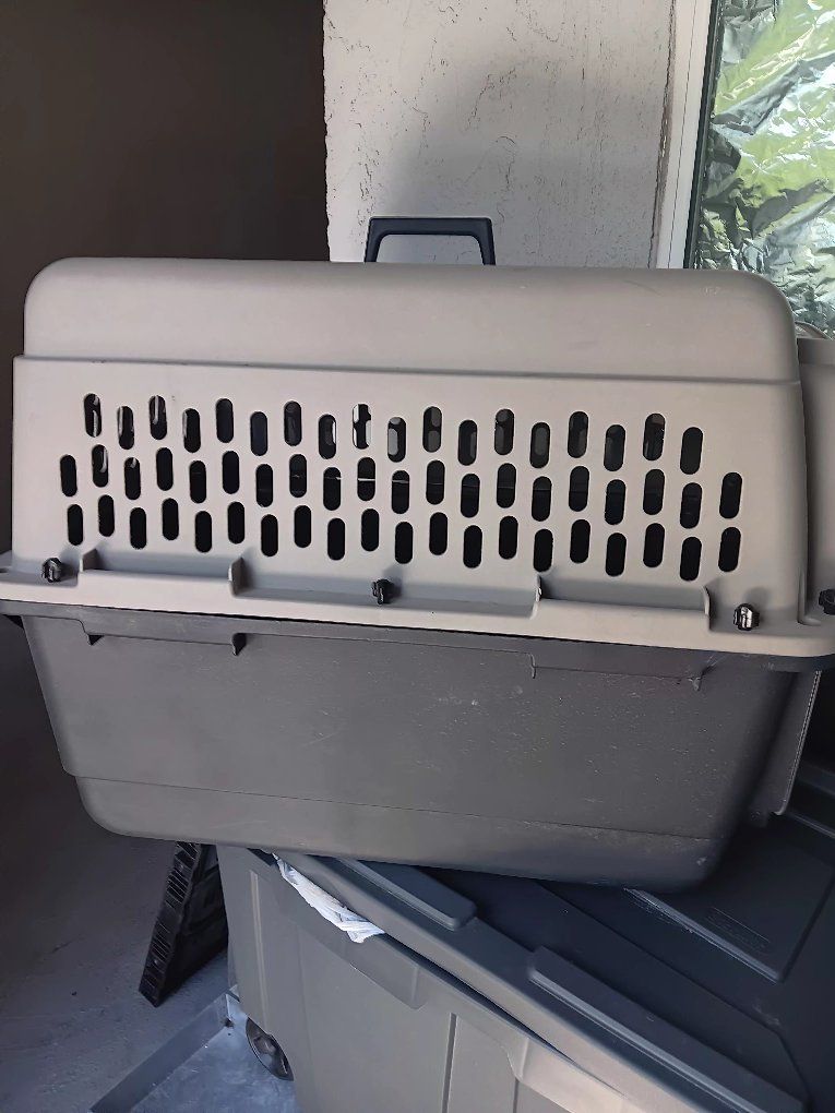 Large Dog Kennel