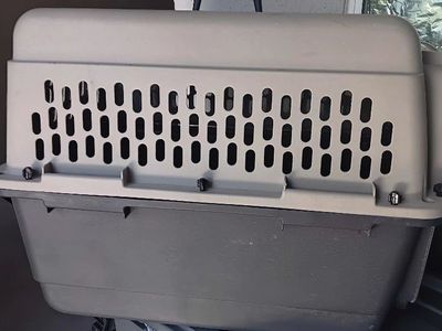 Large Dog Kennel