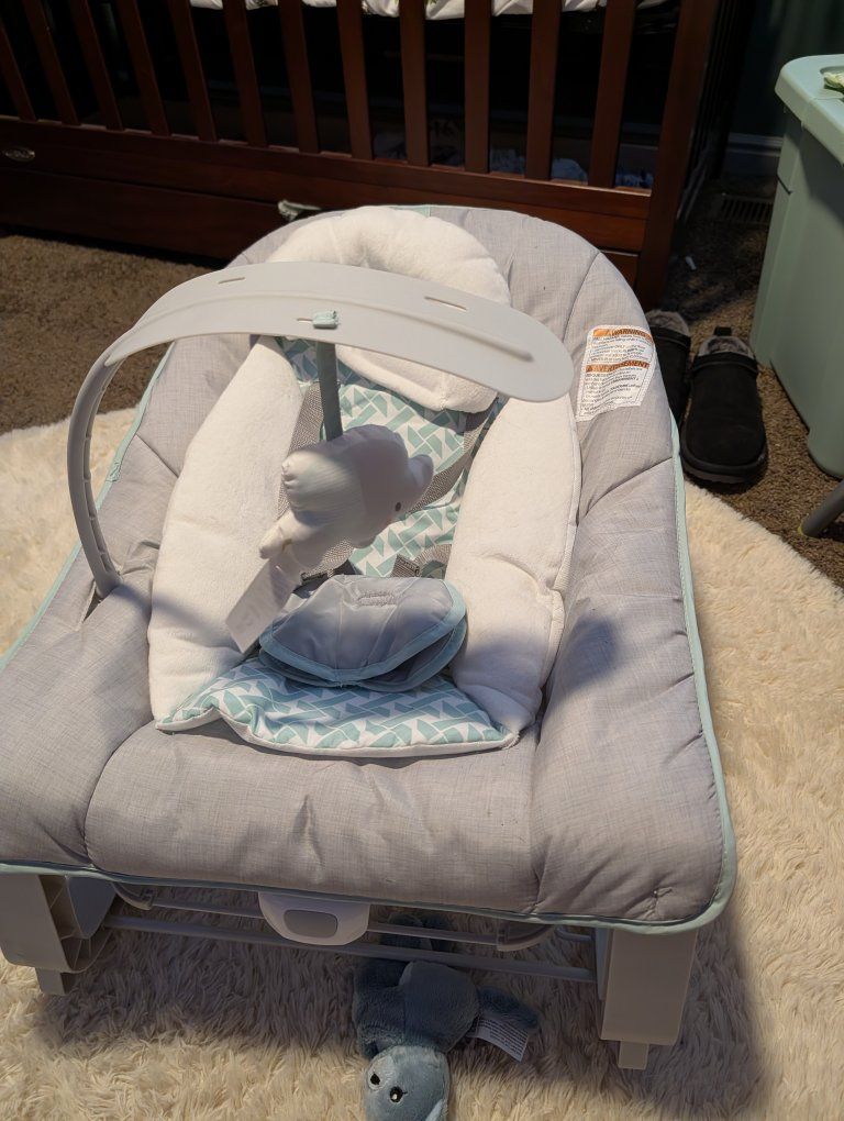 baby bouncer
