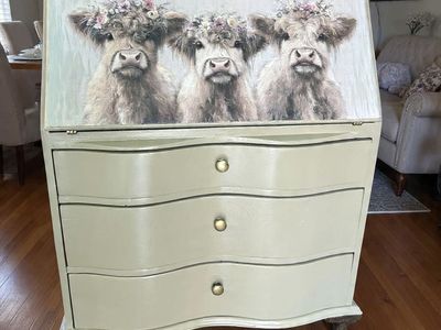 Super Cute Storage