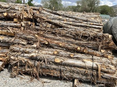 Cedar Posts