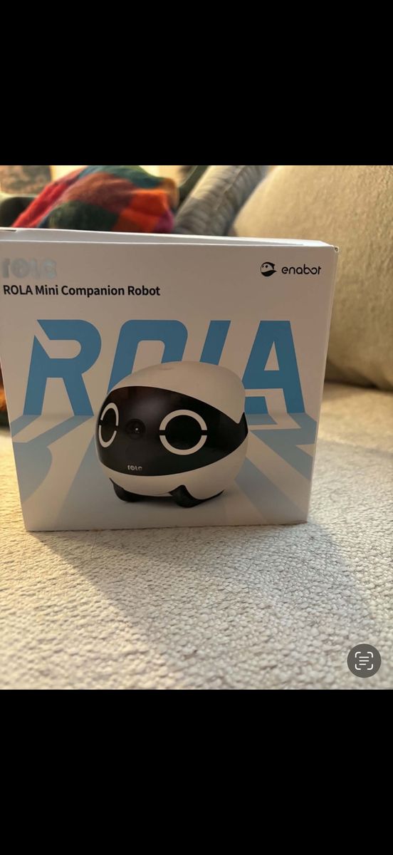 Rola mini companion robot