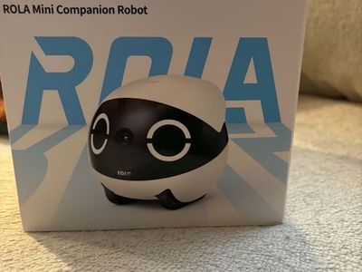 Rola mini companion robot