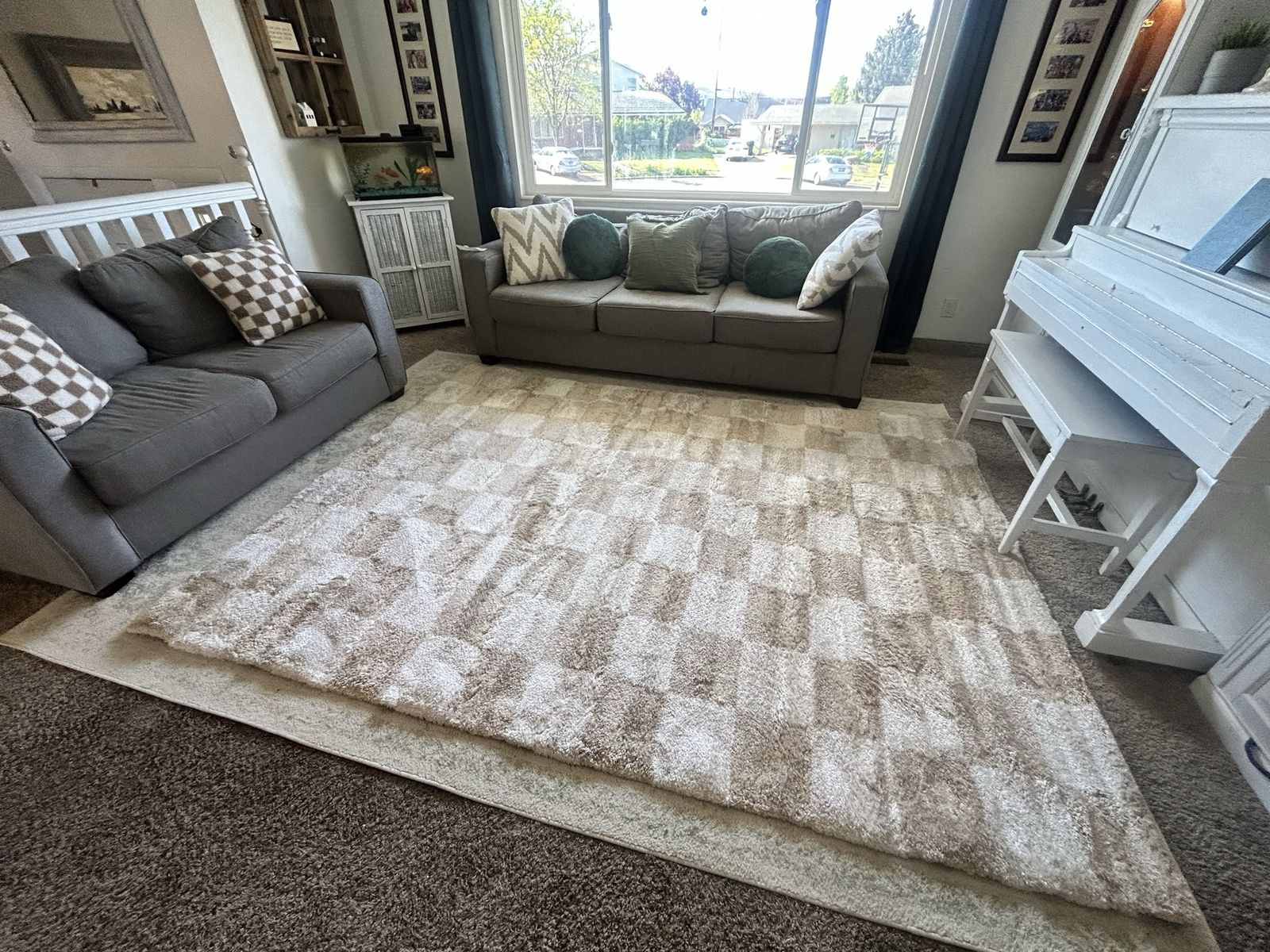 Brand New Area Rug