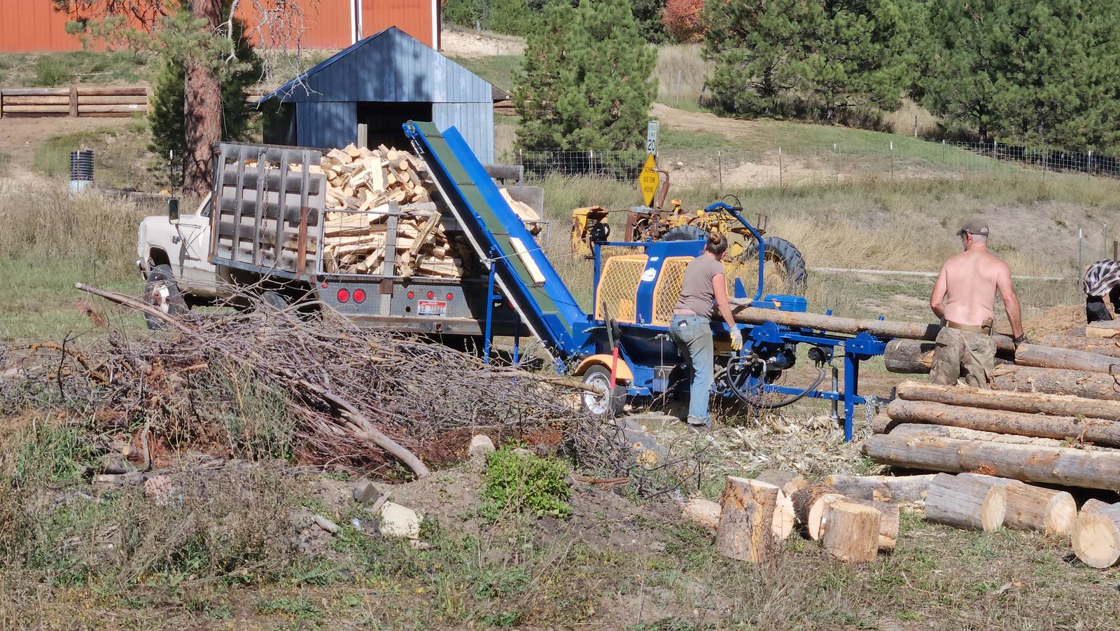 Firewood processor EcoPro 300 with hydraulic infeed