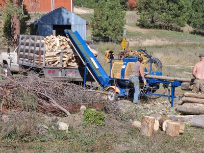 Firewood processor EcoPro 300 with hydraulic infeed