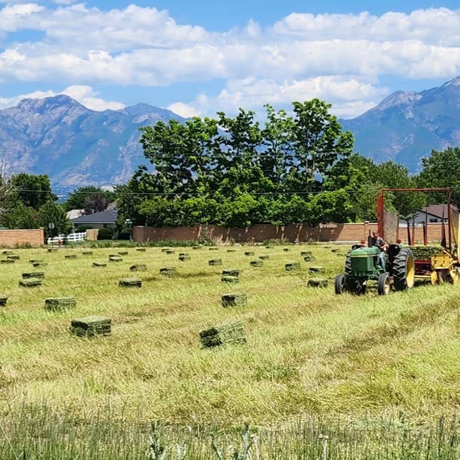 Farm Fresh Hay Bales Available