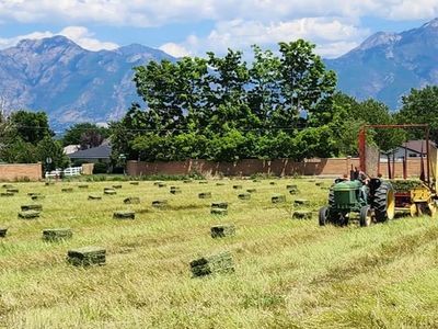Farm Fresh Hay Bales Available