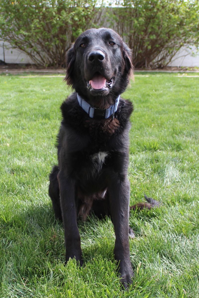 Hello my name is hades