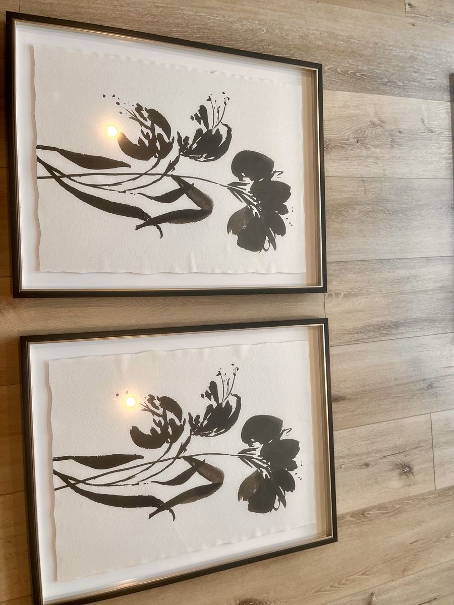 2 Black and White Flower Pictures