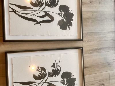 2 Black and White Flower Pictures