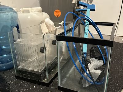 5 Gallon Fish Aquarium