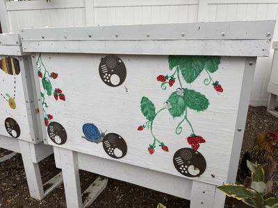 Fully Loaded Second Season Bee Colony And Beehive