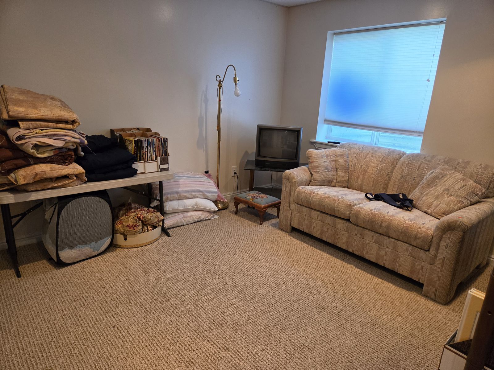 Main image 6