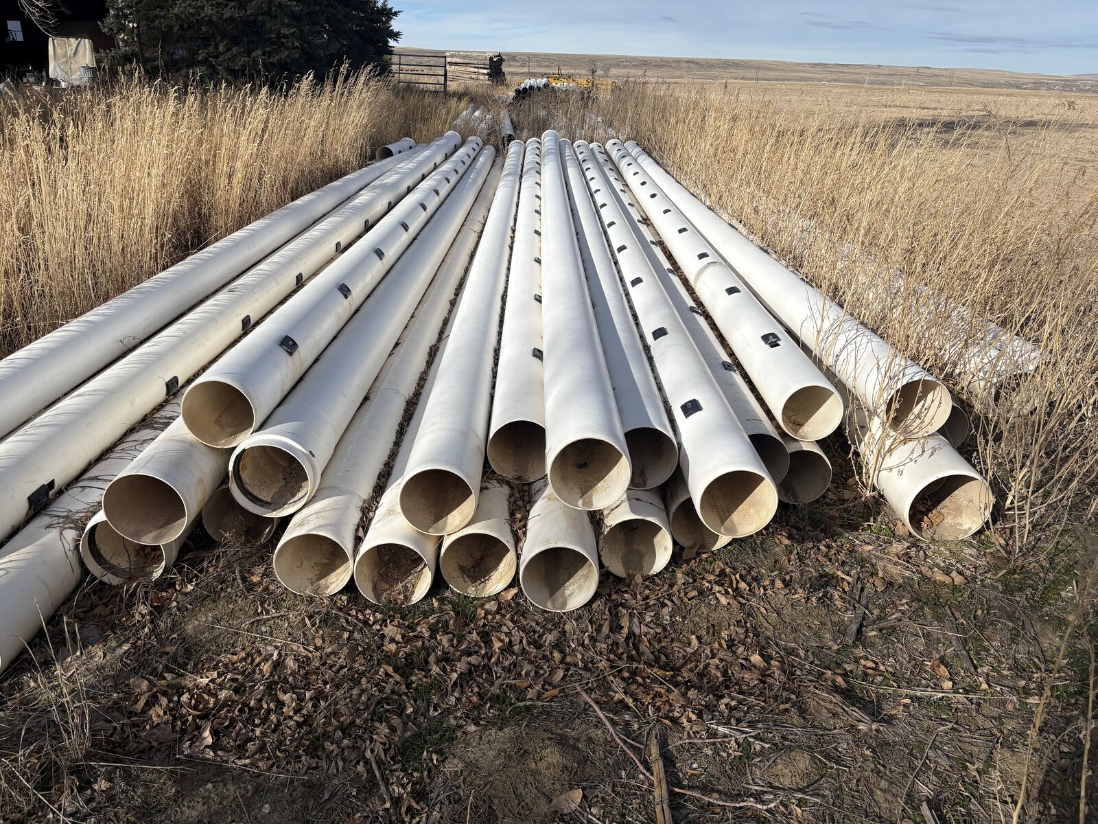 Irrigation pipe