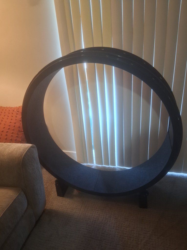 One Fast Cat running wheel