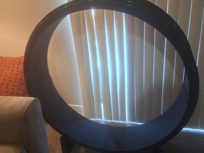 One Fast Cat running wheel