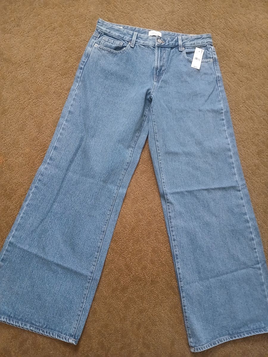 Pac Sun Baggy Low Rise Denim Pants