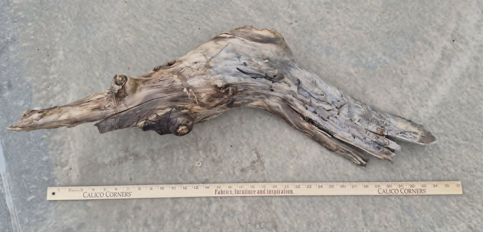 Large and Hollow Aquarium Driftwood Log