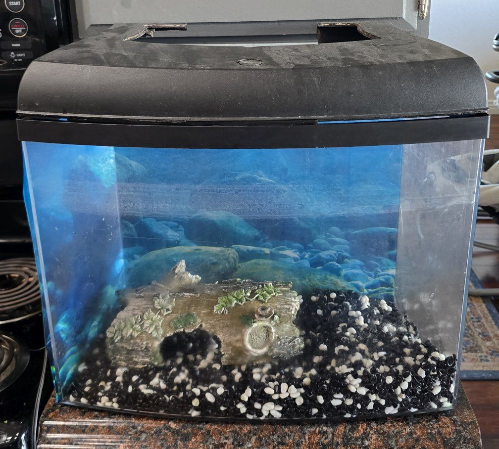 12 Gallon LED Aquarium Starter Kit with Accessories