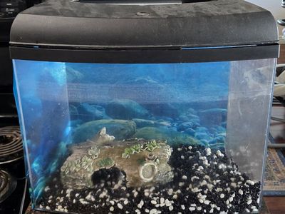 12 Gallon LED Aquarium Starter Kit with Accessories