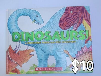 Usbourne lift the flap books-dinosaurs and planes,