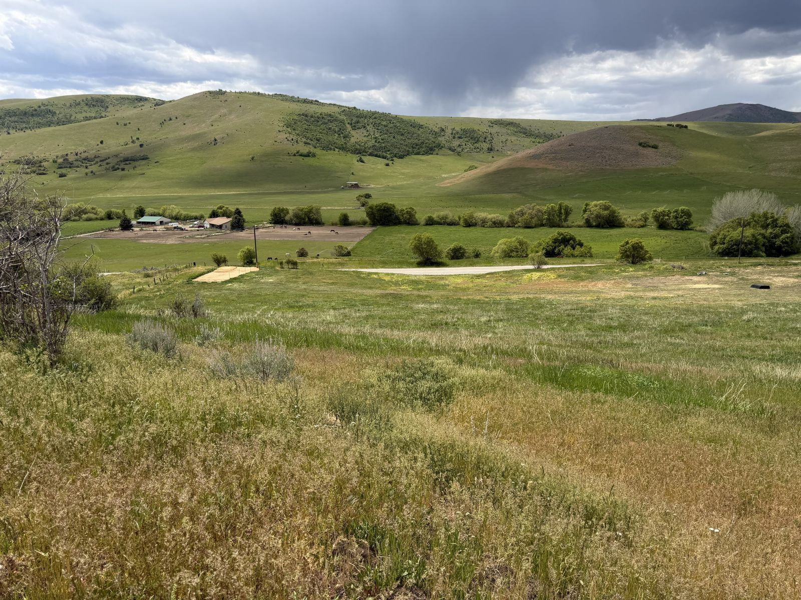 Surveyed 10-Acre Mink Creek High Country Build Site with Access