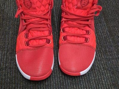 Nike Men's Red LeBron Witness II Basketball Shoes, Size 12, High-Top